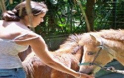 Feed to the animals,Bali Zoo Park,Bali Zoo Park