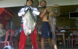 Casting and Jigging,Bali Fishing,Special Charter Boat Fishing by Ena