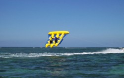 Flying Fish image, Virgo Dive and Water Sport, Benoa Marine Sport