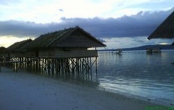 ,Papua Adventure,Sorong Raja Ampat 4D3N Tour
