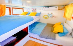 Share Cabin,Komodo Boats Charter,Private Trip by Giona Deluxe Phinisi