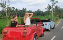 Group Tour image, Alam Tirta VW Safari Tour, VW Bali Tour