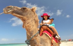 Bali Camel Adventure, Happy Experience