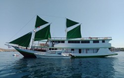 KLM Marcopolo Green,Komodo Open Trips,Open Trip 4 Days 3 Nights Lombok to Labuan Bajo by Travel Wise