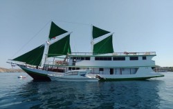 KLM Marcopolo Green image, Open Trip 4 Days 3 Nights Lombok to Labuan Bajo by Travel Wise, Komodo Open Trips