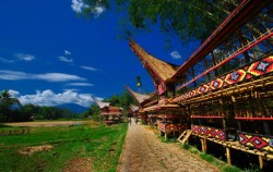 TORAJA CULTURE AND NATURE TOUR 4 Days / 3 Nights, Toraja Adventure, Kete Kesu Village