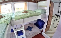 Share Cabin,Komodo Open Trips,Open Trip 3D2N by King Cirox 2 Superior Phinisi