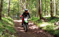 Half Day Kintamani Dense Forest Dirt Bike, Kintamani Forest Dirt Bike