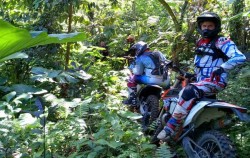 Half Day Kintamani Dense Forest Dirt Bike, Bali Dirt Bike, Kintamani Dense Forest