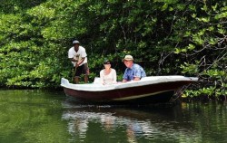 Mangrove Tour,Lembongan Package,Mangrove Tour by Lembongan Trip