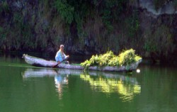 Local People Activity image, Madu Sari Trunyan Tour, Bali trekking