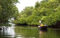 ,Lembongan Package,Sea Walker Lembongan