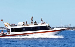 Marlin Fast Cruise, Marlin Fast Cruise