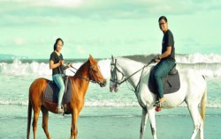 Tangtu Beach Horse Riding, Muara Adventure