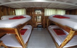 Sharing Cabin Share Bathroom,Komodo Open Trips,Komodo 3D2N by North Blue Superior Phinisi