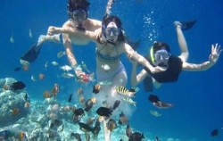 Manta Ray Snorkeling Package, Nusa Penida Snorkeling