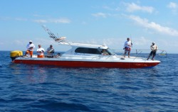 Fishing Activity by Dewi Ocean, Dewi Ocean Boat