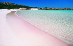 Pink Beach,Komodo Adventure,Flores and Komodo Adventure Tour 8D/7N 