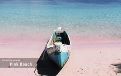 Pink Beach image, Open Trip 4D3N Labuan Bajo to Lombok by Wanua Adventure, Komodo Open Trips