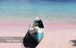 Open Trip 4D3N Labuan Bajo to Lombok by Wanua Adventure, Pink Beach