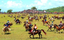 Sumba Pasola