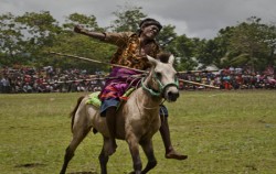 Sumba Megalithic Adventure 6D 5N , Sumba Pasola