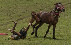 Sumba  Pasola  3D 4N, Sumba Adventure, Sumba Pasola