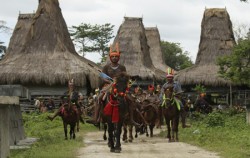 Sumba Pasola,Sumba Adventure,Sumba  Pasola  3D 4N