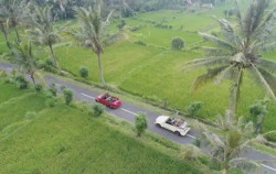Ricefield view surruond image, Alam Tirta VW Safari Tour, VW Bali Tour