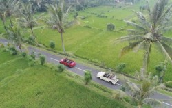 Alam Tirta VW Safari Tour, VW Bali Tour, Ricefield view surruond