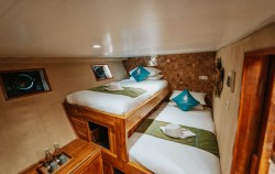 Pearl Cabin image, Open Trip Komodo 3D2N by Cordelia Luxury Phinisi, Komodo Open Trips