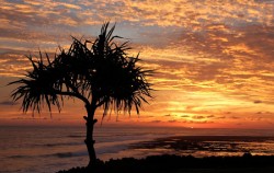 Pero Beach image, Sumba Exotic Tour 7D 6N, Sumba Adventure