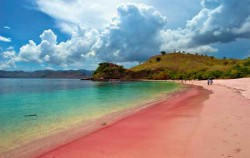 Pink Beach,Komodo Adventure,Sailing Komodo 3D2N Tour