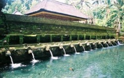 Tirta Empul Tempel,Bali Sightseeing,Kintamani and Tirta Empul Tour