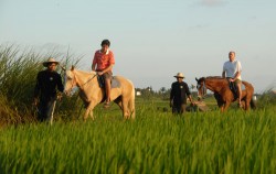Horse Riding at Canggu, Canggu Rice field ride