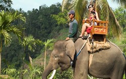 Ride the elephant tour,Bali 2 Combined Tours,Water Sports and Elephant Ride