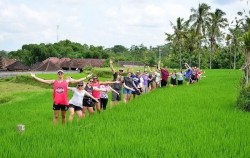 Rice Paddy Walking Tour in Ubud, Bali Trekking, Rice Paddy Walking Group