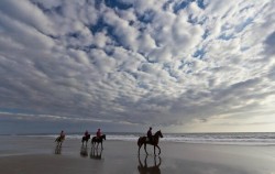 Seminyak Beach Horse image, Seminyak Beach Getaway & Motel Mexicola Dining Experience, Bali Instagramable Trips