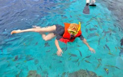 Snorkeling,Lembongan Package,Lembongan Snorkeling and Island Tour