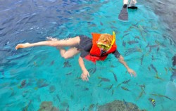 Lembongan Snorkeling and Island Tour, Snorkeling