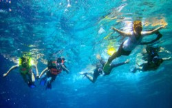 Snorkeling image, Three Islands Snorkeling by Lembongan Trip, Lembongan Package