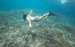 Snorkeling image, DISCOVERY TIME Tour by Bali Travelly Cruises, Nusa penida packages