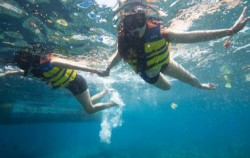 BLUE PARADISE ADVENTURE by Bali Travelly Cruises, Snorkeling activity