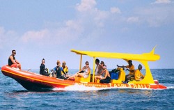 Caspla Bali Fast Boat, Snorkeling Boat