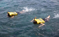 Snorkeling in Penida image, FUN ISLAND Tour by Bali Travelly Cruises, Nusa penida packages