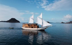 Phinisi Boat,Komodo Open Trips,Open Trip 4D3N by Sundari Voyages Luxury Phinisi