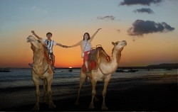 Sunset Camel Ride image, Bali Camel Adventure, Bali Camel Safari