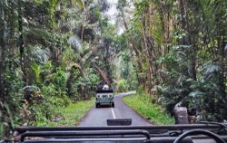 Real Bali Swing, Swing and VW tour