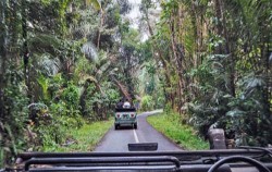 Swing and VW tour,Fun Adventures,Real Bali Swing