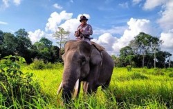 3D2N Way Kambas Tour, Way Kambas National Park